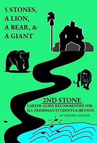 2ND STONE: 5 Stones, a Lion, a Bear and a Giant, #2