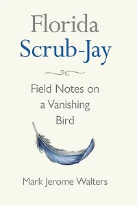 Florida Scrub-Jay: Field Notes on a Vanishing Bird