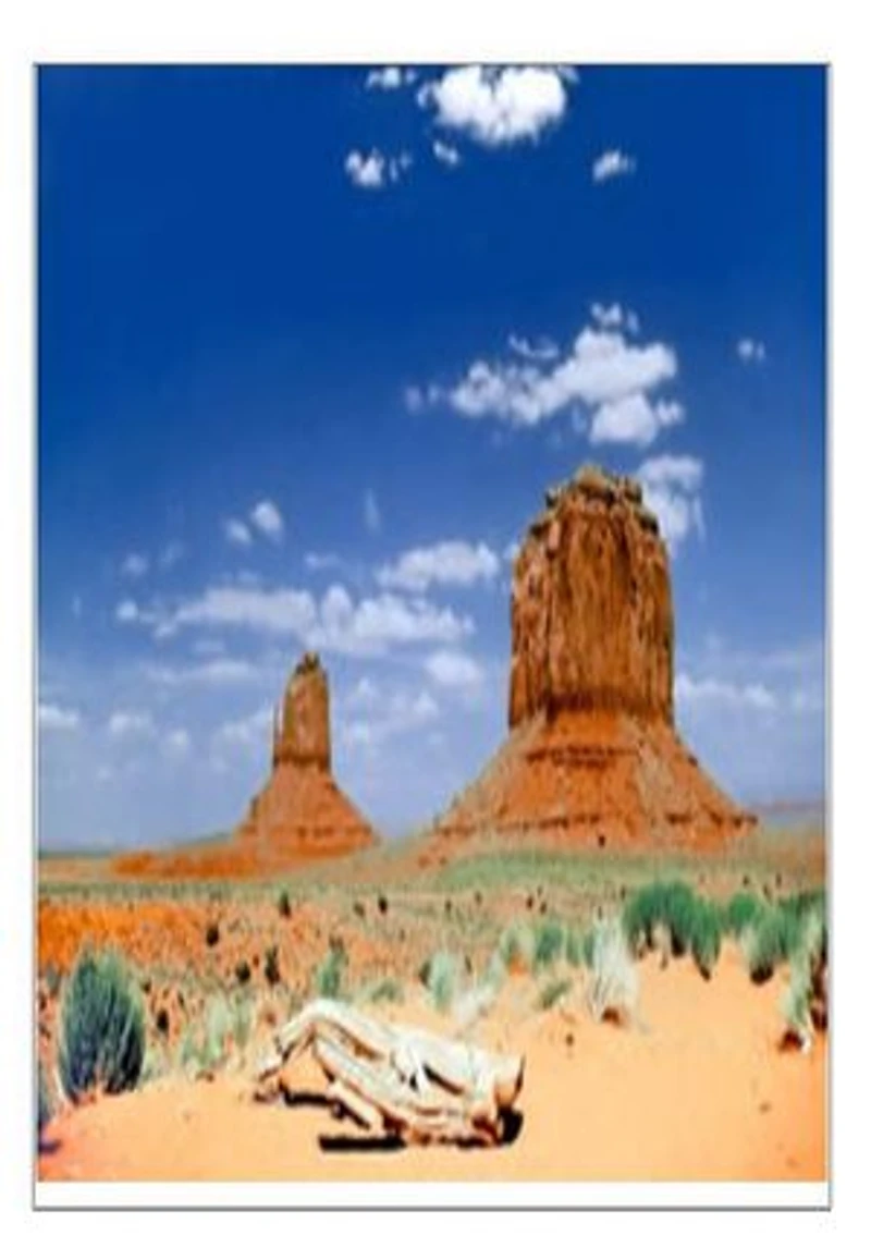 Les bandits de l’Arizona: Scènes de la vie sauvage