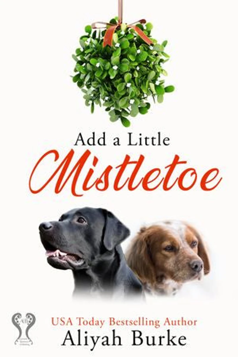 Add A Little Mistletoe: A Second Chance, Bullrider, Holiday Romance