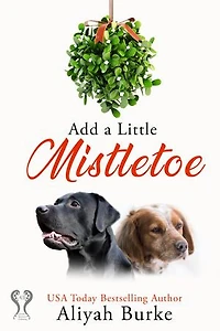 Add A Little Mistletoe: A Second Chance, Bullrider, Holiday Romance