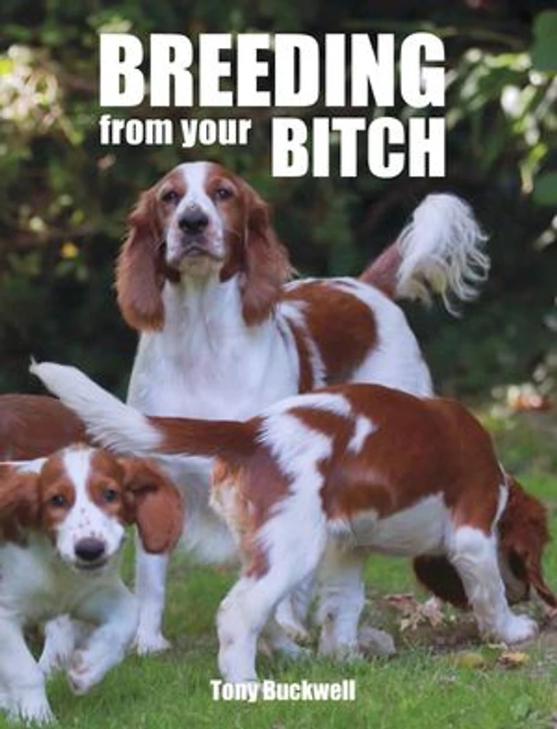 Breeding From Your Bitch