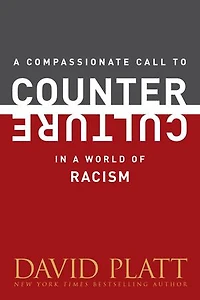 A Compassionate Call to Counter Culture in a World of Racism