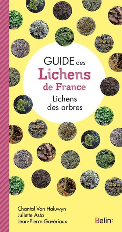Lichens des arbres