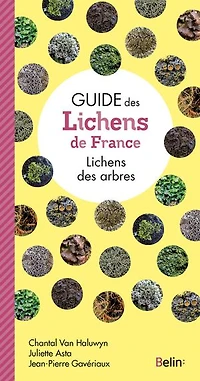 Lichens des arbres