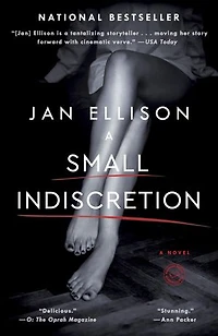 A Small Indiscretion: Novel