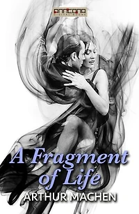 A Fragment of Life