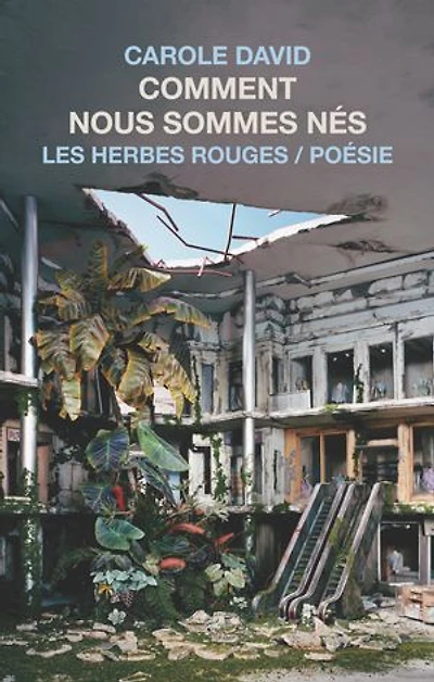 Comment nous sommes nés