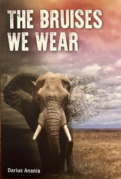 The Bruises We Wear