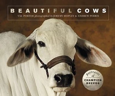 Beautiful Cows: Portraits of champion breeds