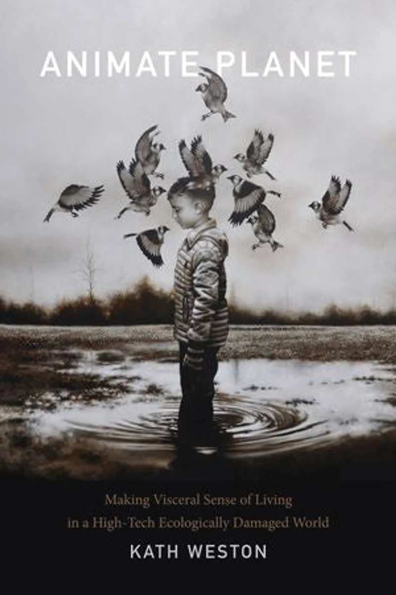 Animate Planet: Making Visceral Sense Of Living A High-tech Ecologically Damaged World