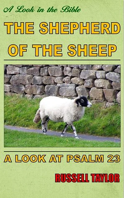 The Shepherd of the Sheep