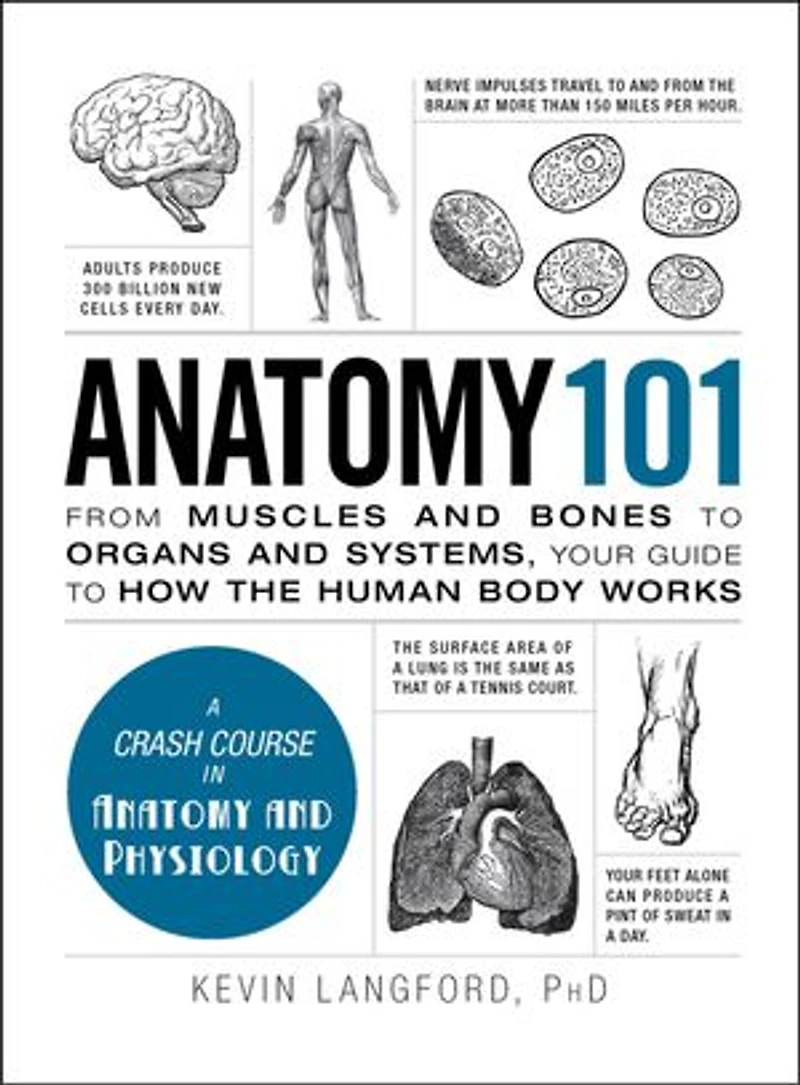 Anatomy 101: From Muscles And Bones To Organs Systems, Your Guide How The Human Body Works