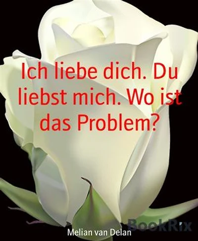 Ich liebe dich. Du liebst mich. Wo ist das Problem?