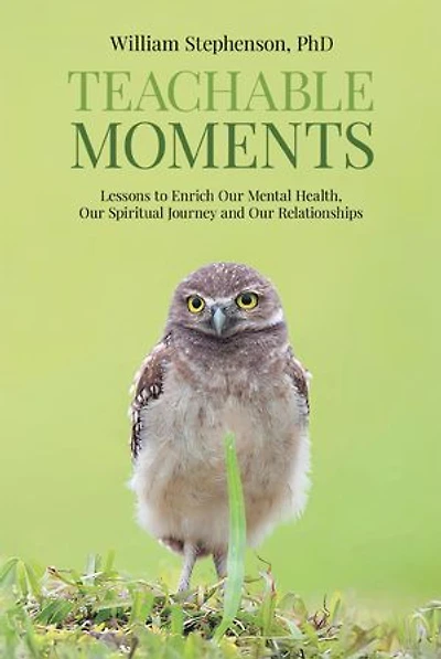 Teachable Moments: Lessons to Enrich Our Mental Health, Our Spiritual Journey and Our Relationships