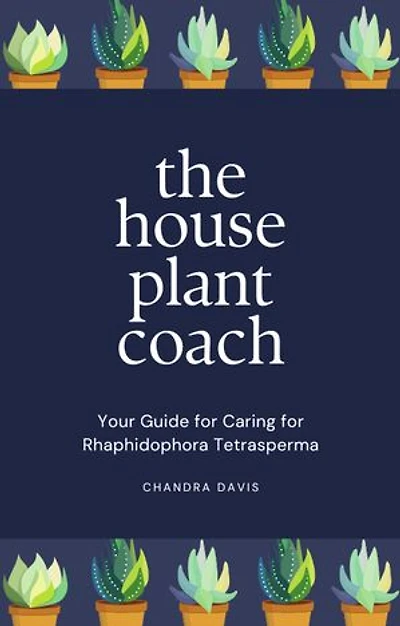 The House Plant Coach: Your Guide for Caring for Rhaphidophora Tetrasperma