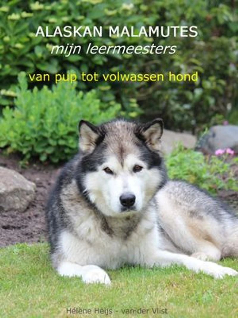 Alaskan Malamutes: mijn leermeesters