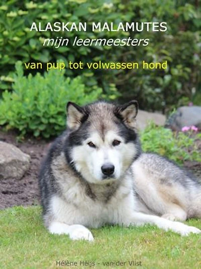 Alaskan Malamutes: mijn leermeesters