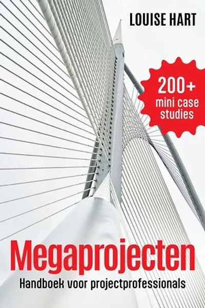 Megaprojecten: Handboek voor projectprofessionals