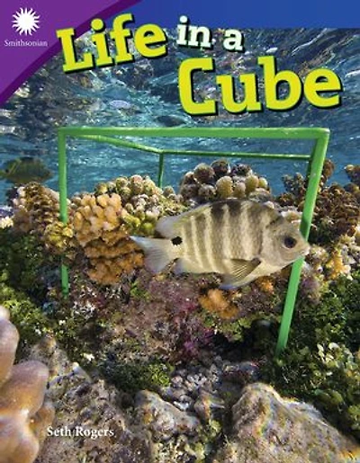 Life in a Cube