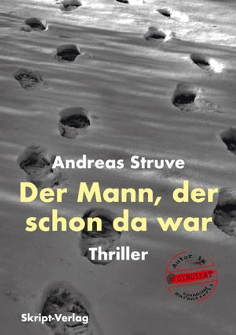 Der Mann, der schon da war: Thriller