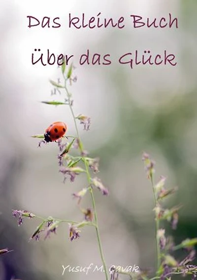Das kleine Buch über das Glück: Eine Reflexion für alltägliche Freude