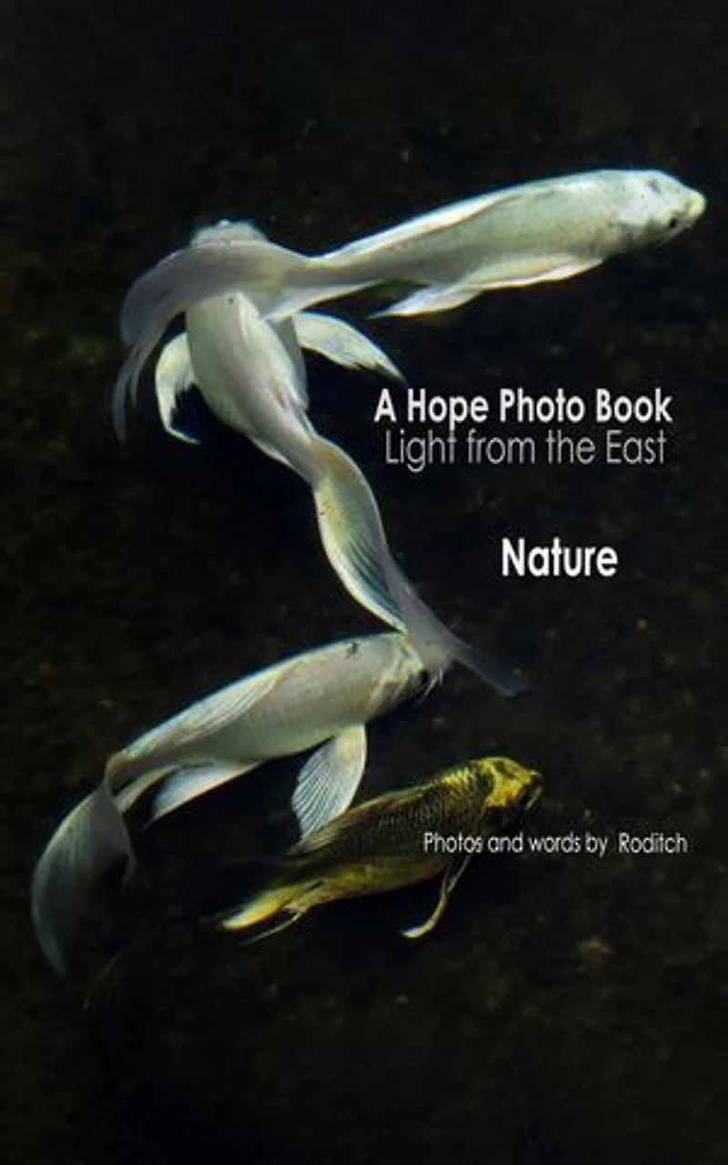A Hope Photo Book - Light from the East - Nature