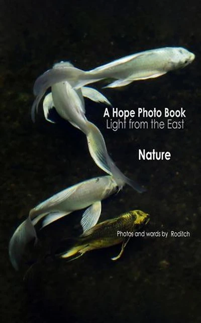 A Hope Photo Book - Light from the East - Nature