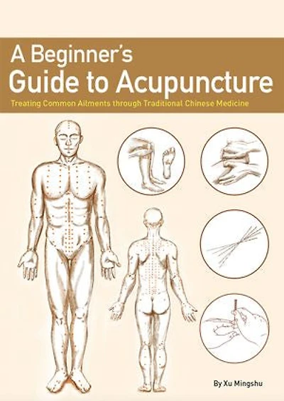 A Beginner’s Guide to Acupuncture: Treating Common Ailments through Traditional Chinese Medicine