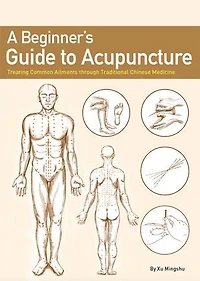 A Beginner’s Guide to Acupuncture: Treating Common Ailments through Traditional Chinese Medicine