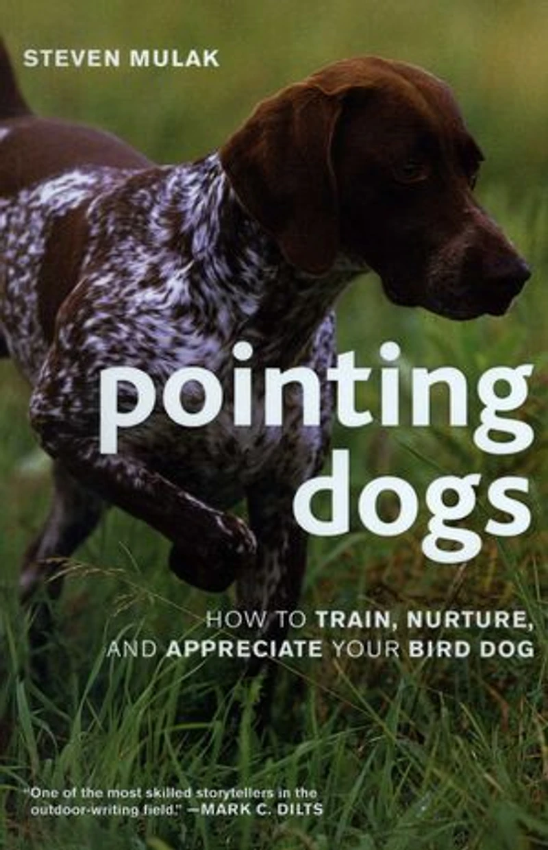 Pointing Dogs: How to Train, Nurture, and Appreciate Your Bird Dog