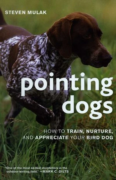 Pointing Dogs: How to Train, Nurture, and Appreciate Your Bird Dog