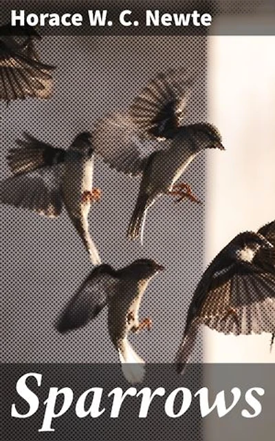 Sparrows: Enriched edition. The Story of an Unprotected Girl