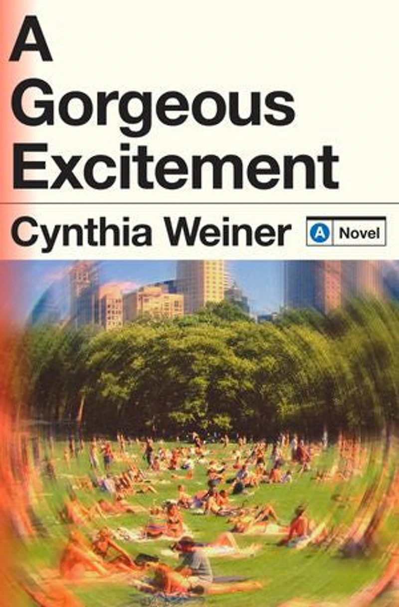 A Gorgeous Excitement: Novel