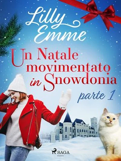 Un Natale movimentato in Snowdonia – parte 1