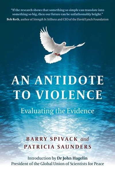 An Antidote to Violence: Evaluating The Evidence