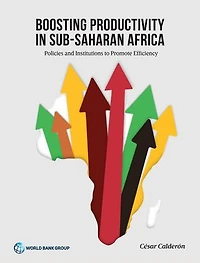 Boosting Productivity Sub-Saharan Africa: Policies and Institutions to Promote Efficiency