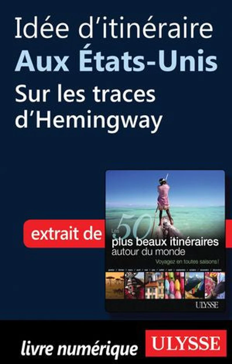 50 PLUS BEAUX ITINÉRAIRES AUTOUR DU MONDE (LES)