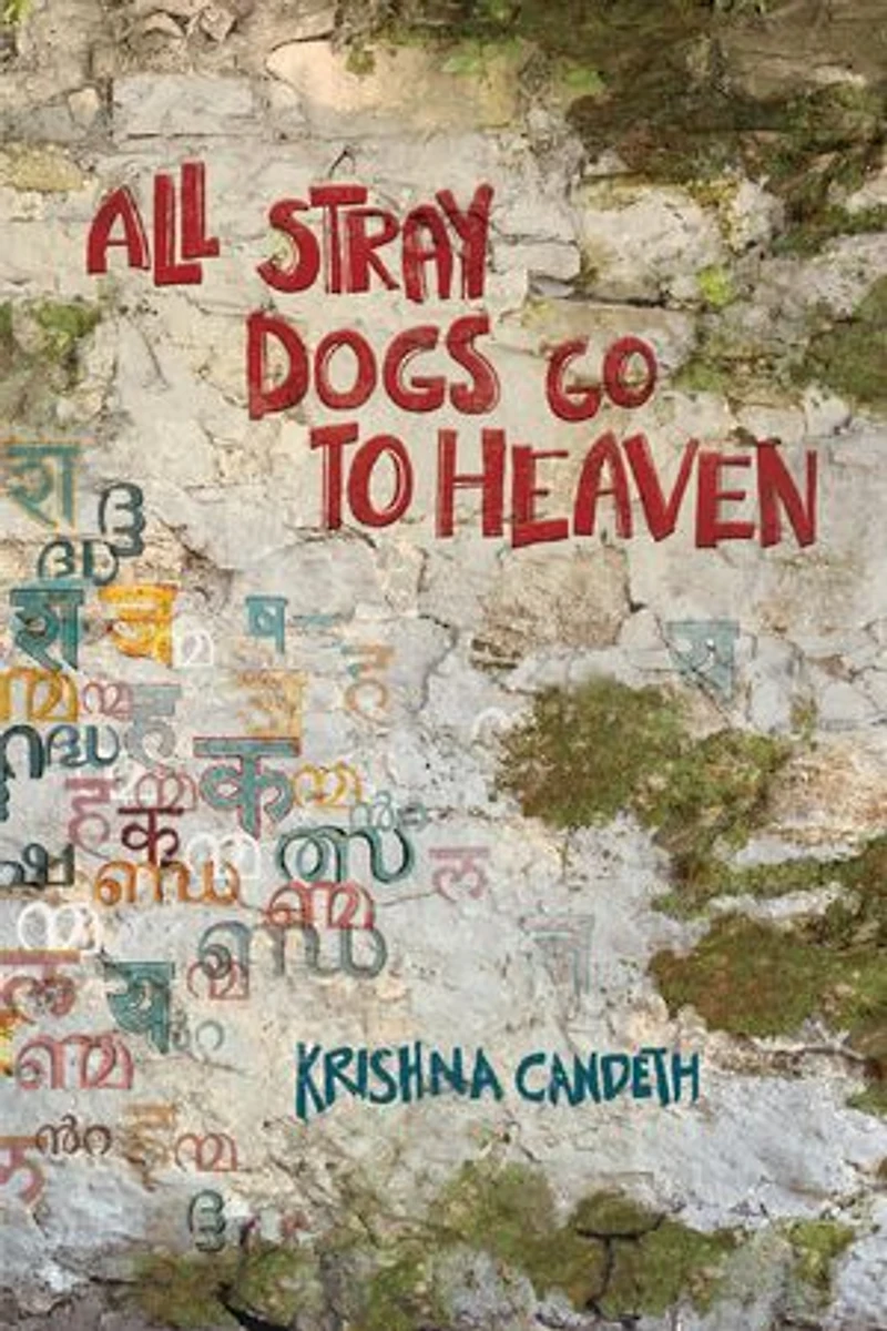 All Stray Dogs Go To Heaven