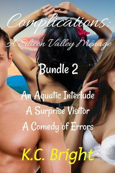 Complications: A Silicon Valley Ménage ~ Bundle 2