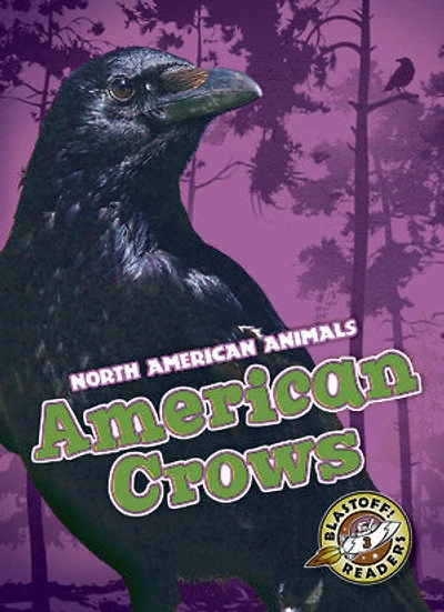 American Crows