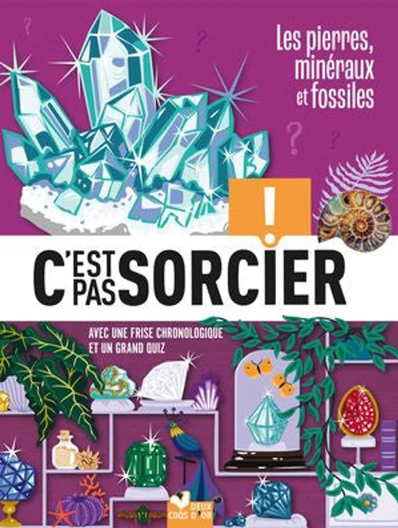Les pierres, minéraux et fossiles