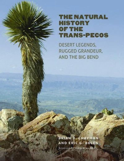 the Natural History of Trans-Pecos: Desert Legends, Rugged Grandeur, and Big Bend