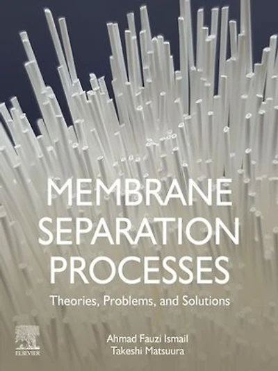 Membrane Separation Processes: Theories, Problems, And Solutions