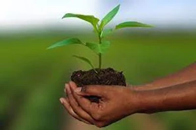 AGRI-INSURANCE IN INDIA & GLOBAL PRACTICES