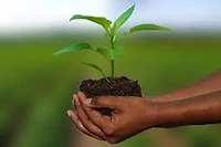 AGRI-INSURANCE IN INDIA & GLOBAL PRACTICES