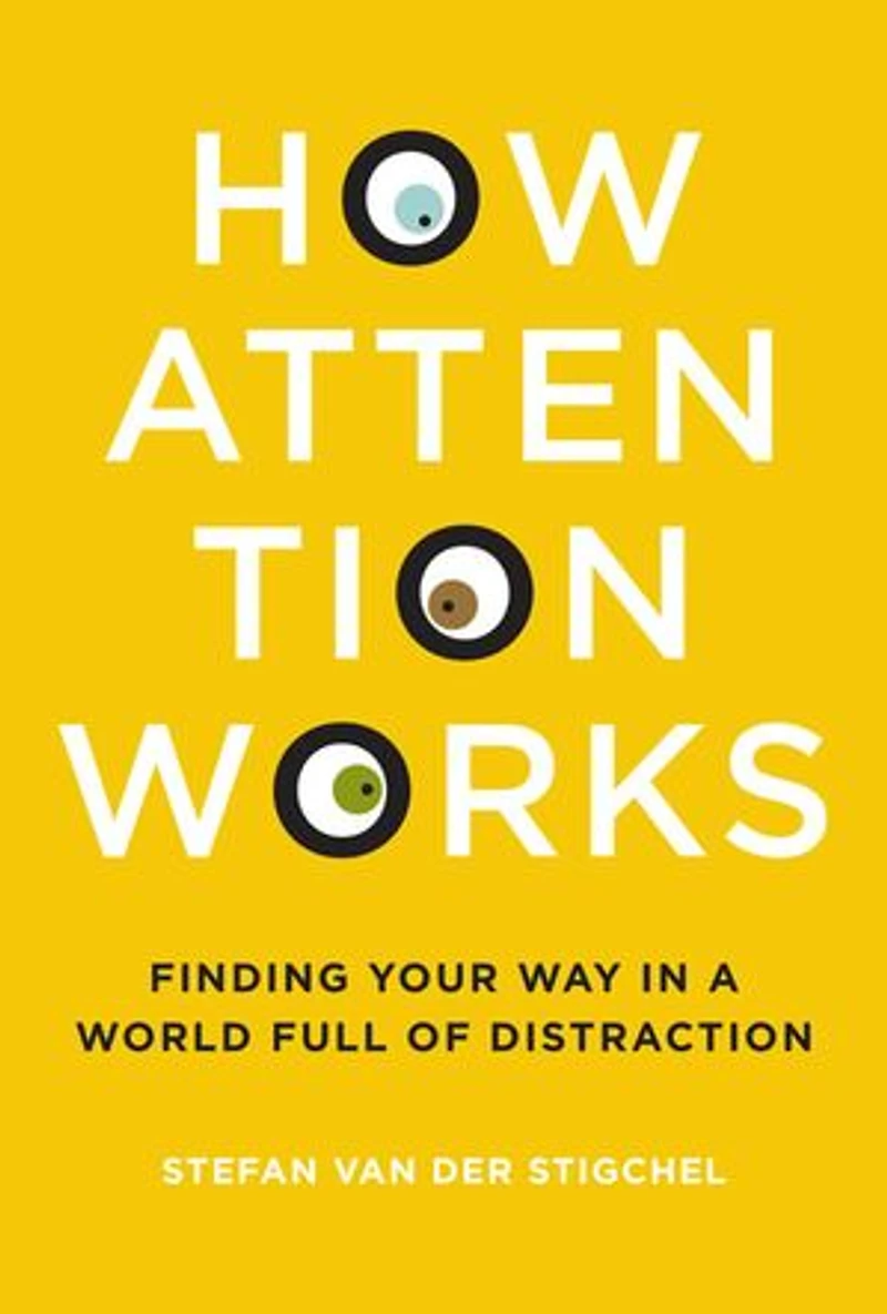 How Attention Works: Finding Your Way A World Full Of Distraction
