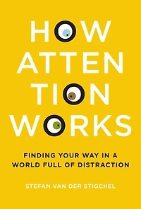 How Attention Works: Finding Your Way A World Full Of Distraction
