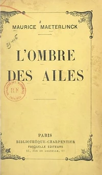 L'ombre des ailes