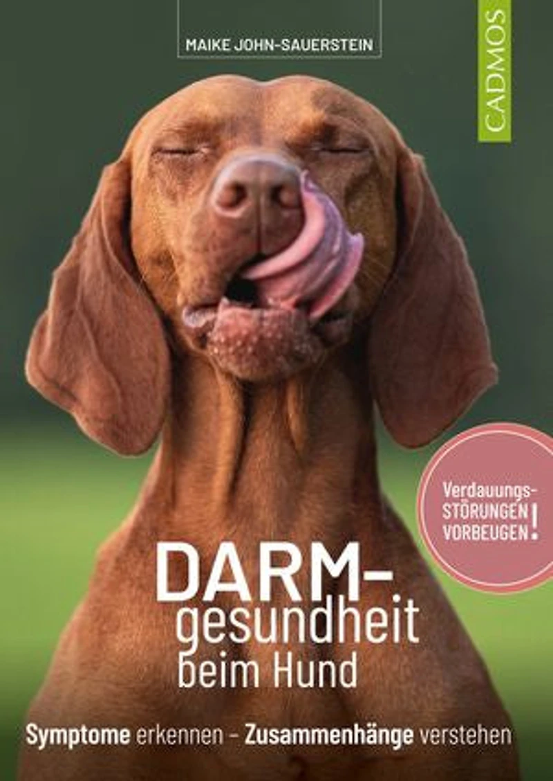 Darmgesundheit beim Hund: Symptome erkennen, Zusammenhänge verstehen